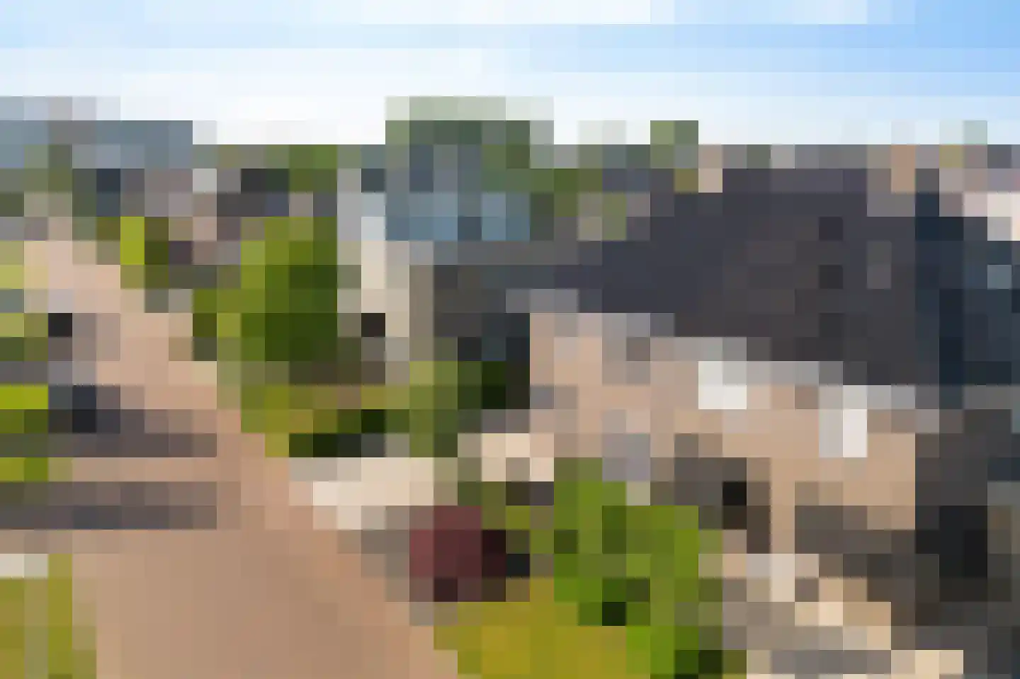 het Vallaat 14 Sneek thumbnail 36
