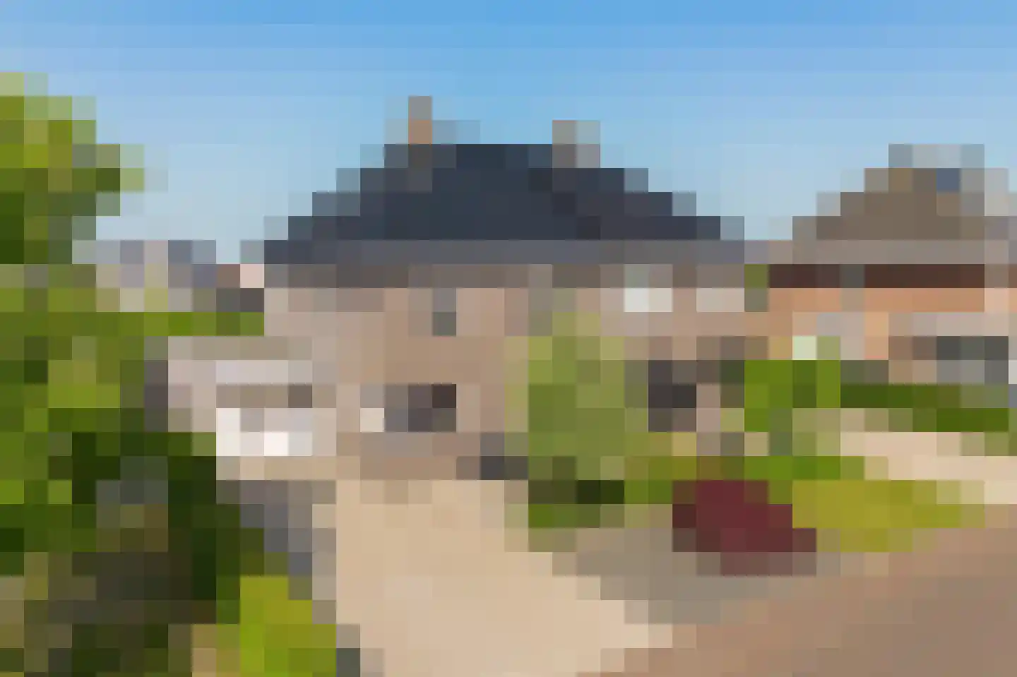het Vallaat 14 Sneek thumbnail 37