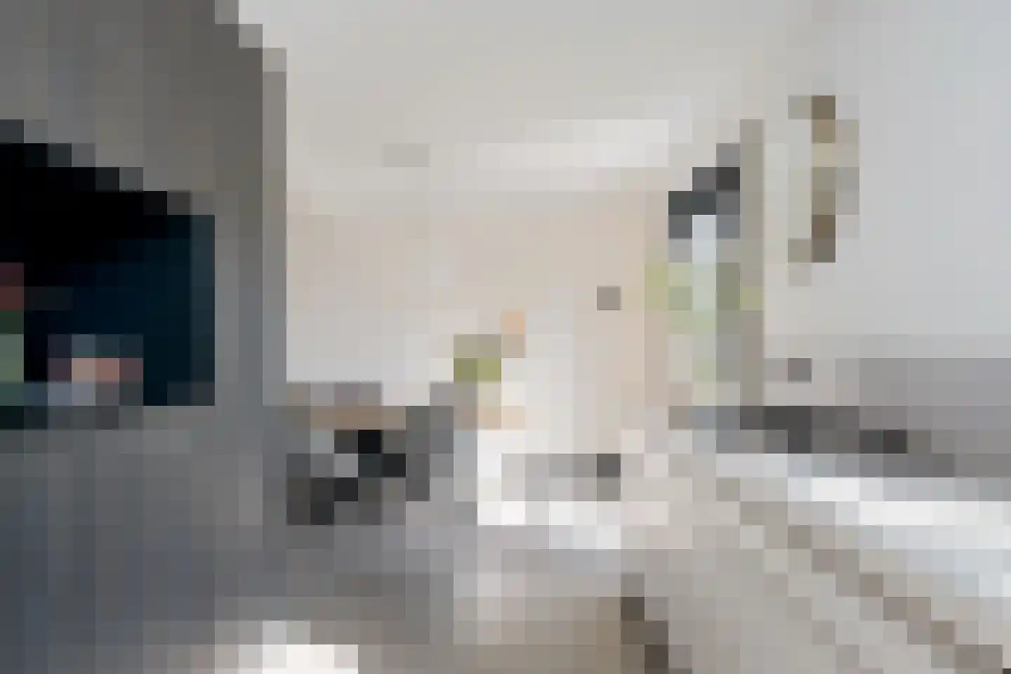 het Vallaat 14 Sneek thumbnail 6