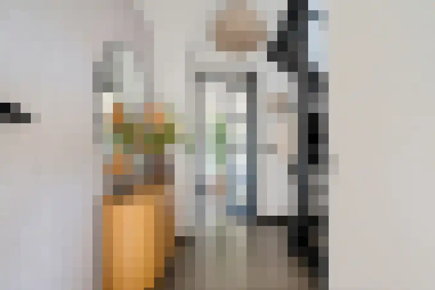 het Vallaat 14 Sneek thumbnail 7