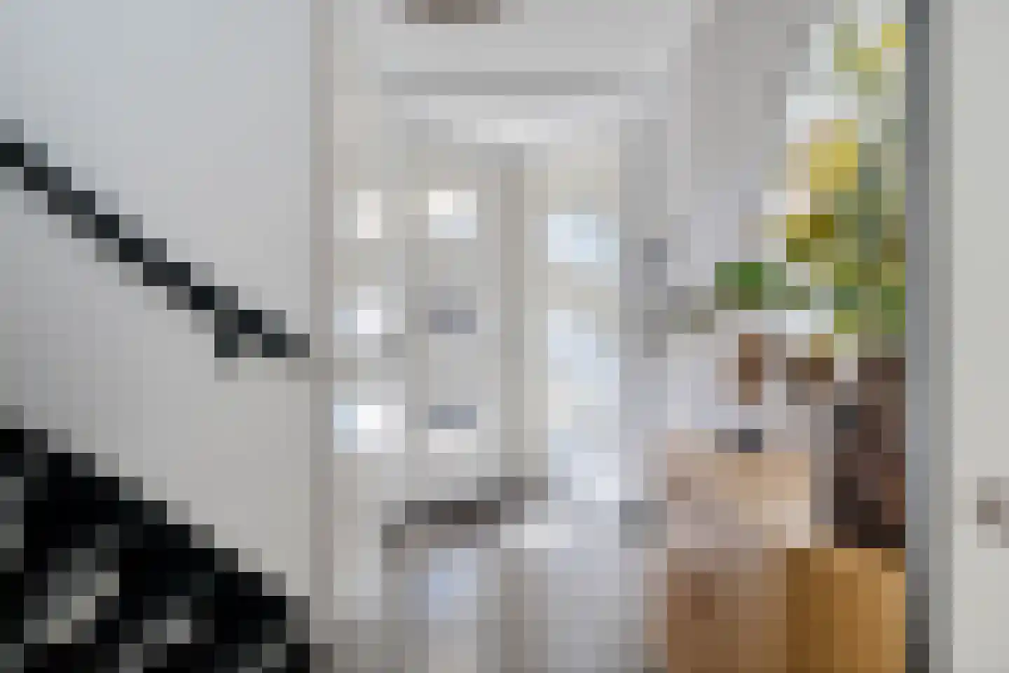het Vallaat 14 Sneek thumbnail 8