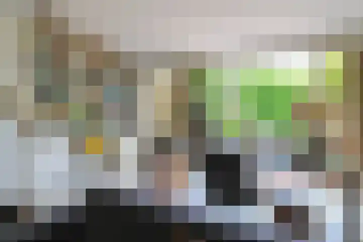 het Vallaat 19 Sneek thumbnail 10