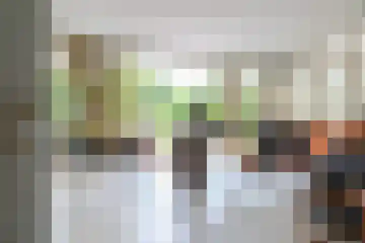 het Vallaat 19 Sneek thumbnail 11