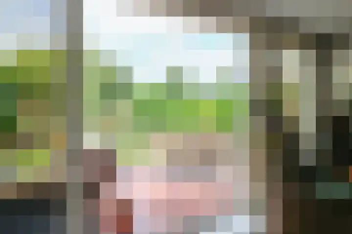 het Vallaat 19 Sneek thumbnail 12