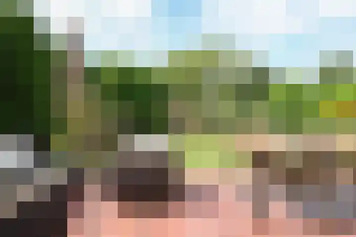 het Vallaat 19 Sneek thumbnail 13