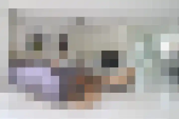 het Vallaat 19 Sneek thumbnail 15