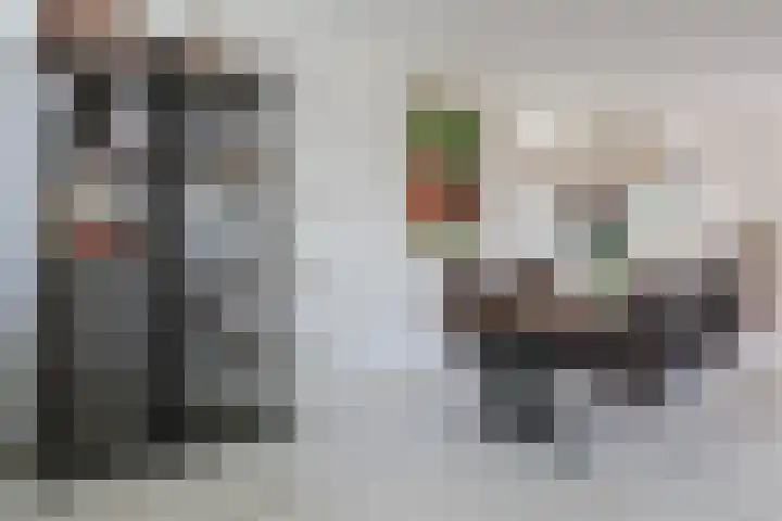 het Vallaat 19 Sneek thumbnail 20