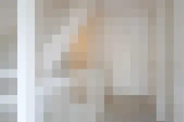 het Vallaat 19 Sneek thumbnail 23