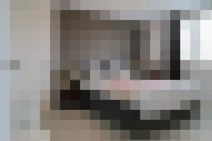 het Vallaat 19 Sneek thumbnail 25
