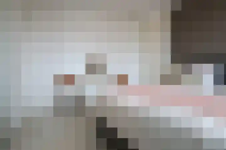 het Vallaat 19 Sneek thumbnail 26
