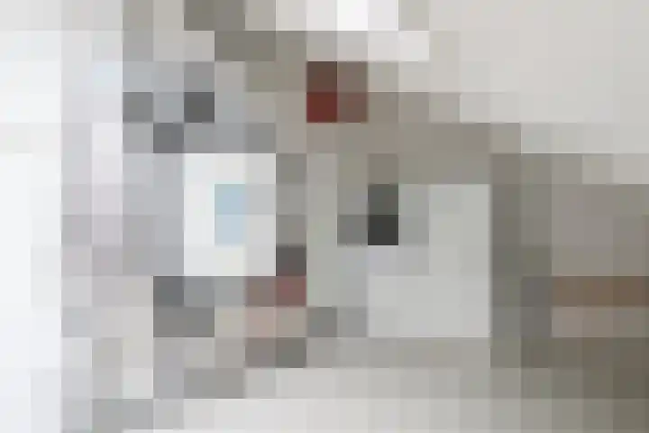 het Vallaat 19 Sneek thumbnail 35