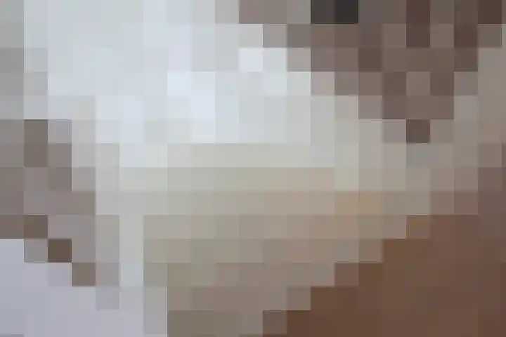 het Vallaat 19 Sneek thumbnail 36
