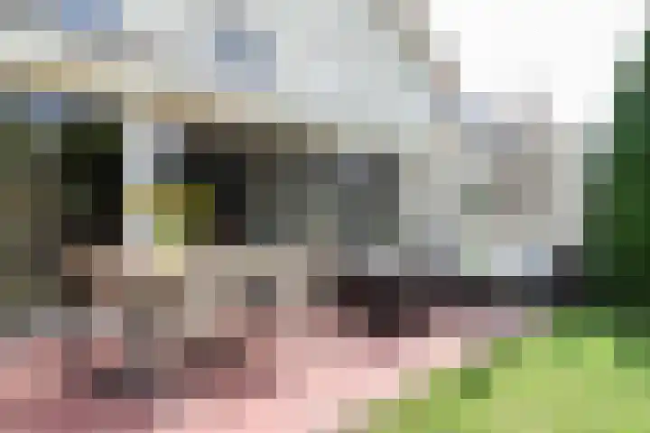 het Vallaat 19 Sneek thumbnail 44