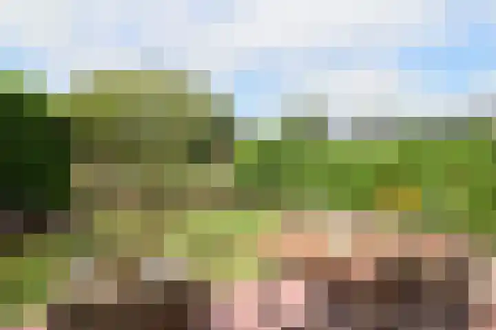het Vallaat 19 Sneek thumbnail 45