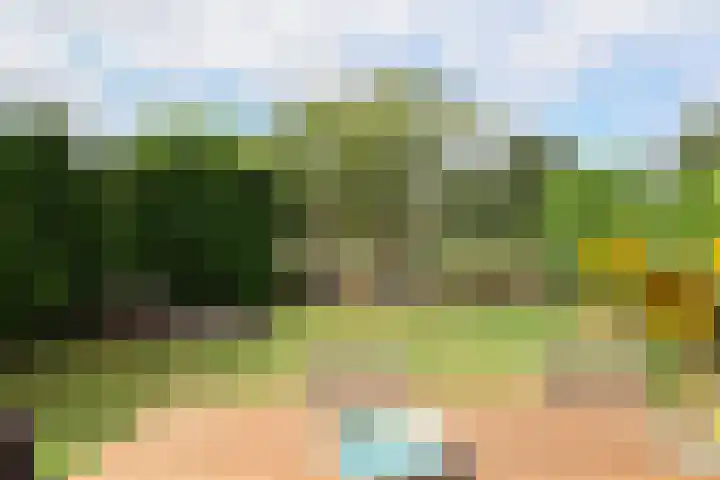 het Vallaat 19 Sneek thumbnail 46