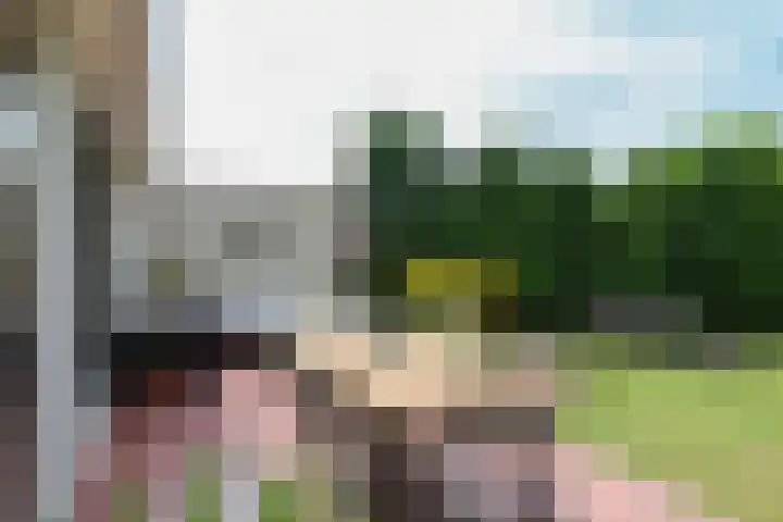 het Vallaat 19 Sneek thumbnail 47