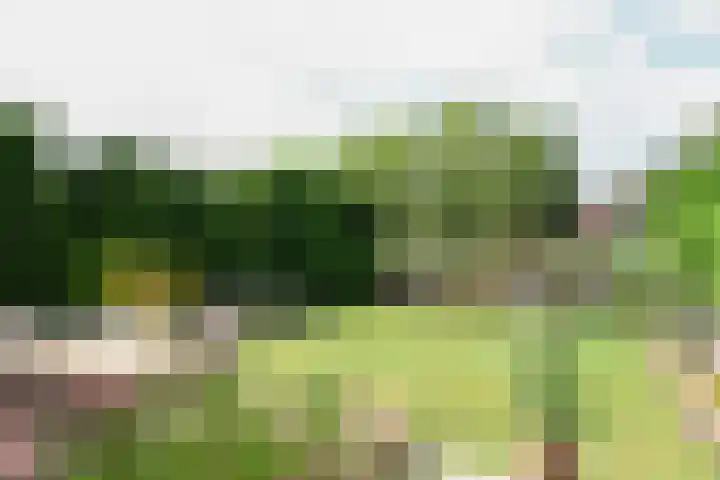het Vallaat 19 Sneek thumbnail 48