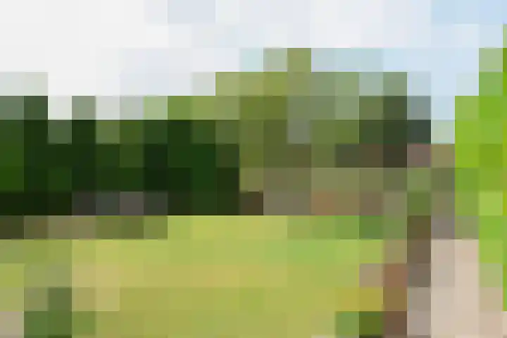 het Vallaat 19 Sneek thumbnail 49