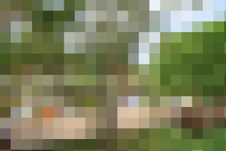 het Vallaat 19 Sneek thumbnail 50