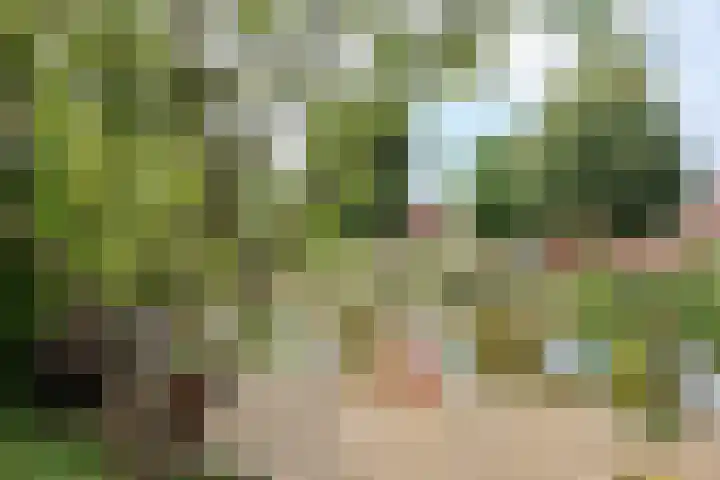 het Vallaat 19 Sneek thumbnail 51
