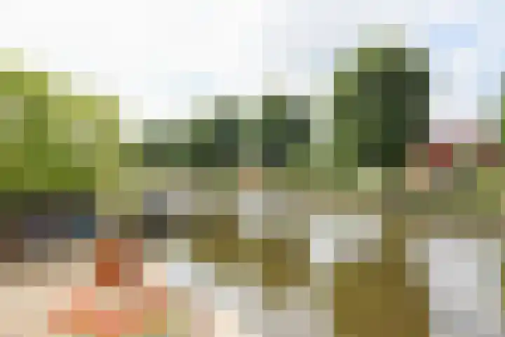 het Vallaat 19 Sneek thumbnail 52