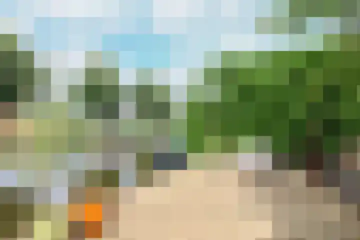 het Vallaat 19 Sneek thumbnail 53