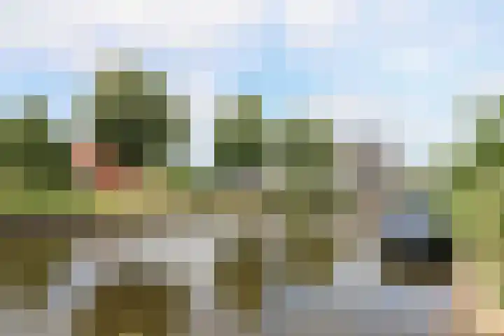 het Vallaat 19 Sneek thumbnail 54