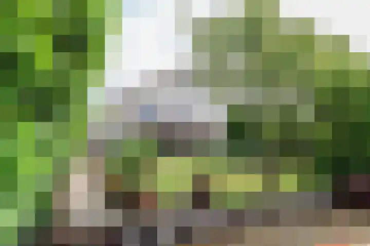het Vallaat 19 Sneek thumbnail 55