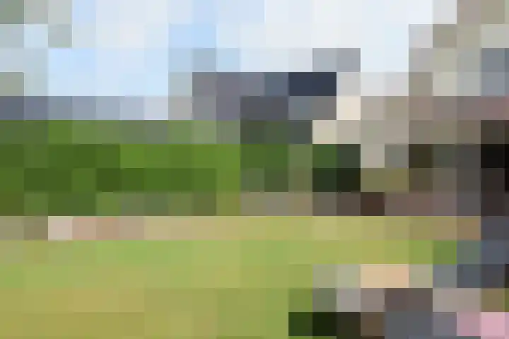 het Vallaat 19 Sneek thumbnail 57