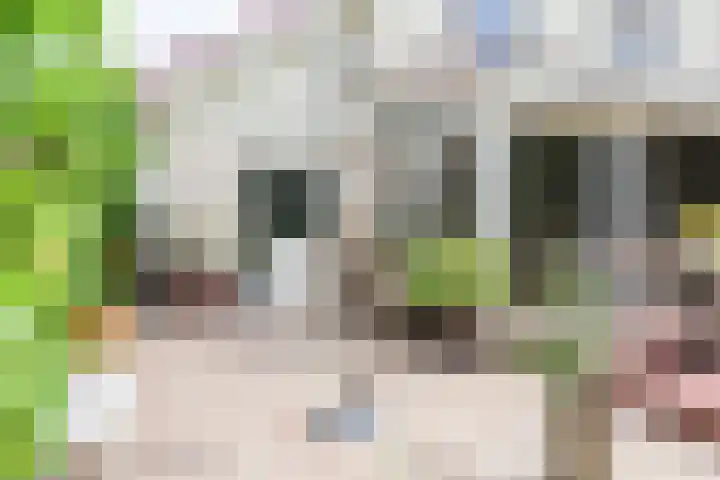 het Vallaat 19 Sneek thumbnail 58