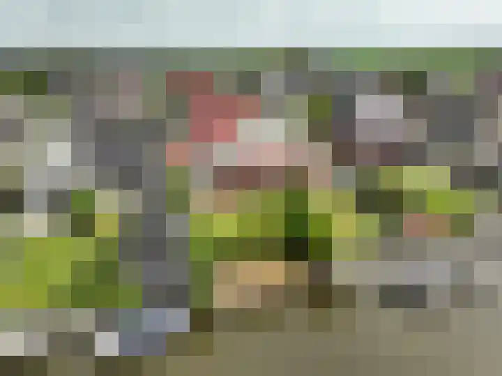 het Vallaat 19 Sneek thumbnail 59