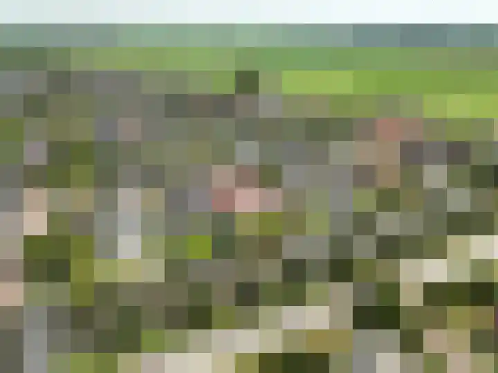 het Vallaat 19 Sneek thumbnail 62