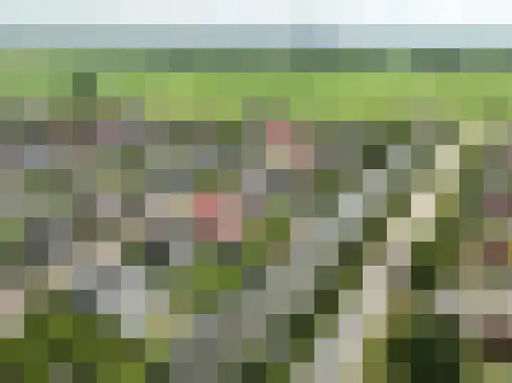 het Vallaat 19 Sneek thumbnail 63