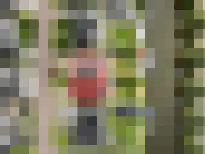 het Vallaat 19 Sneek thumbnail 64