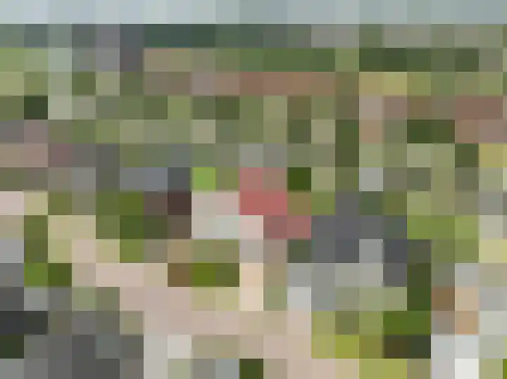 het Vallaat 19 Sneek thumbnail 65