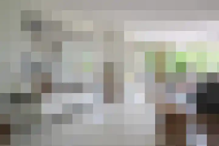 het Vallaat 19 Sneek thumbnail 7