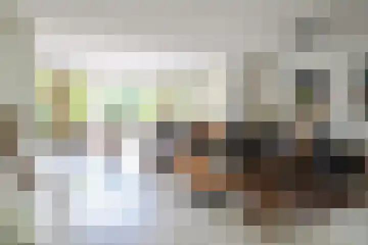 het Vallaat 19 Sneek thumbnail 8