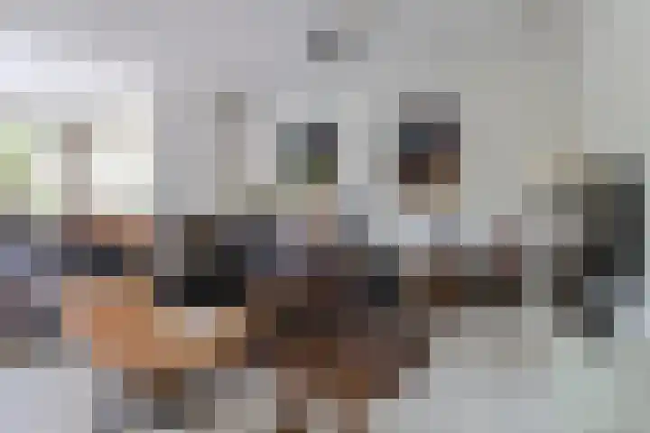 het Vallaat 19 Sneek thumbnail 9