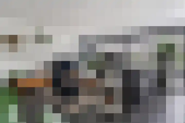 het Vallaat 28 Sneek thumbnail 10