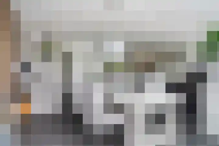 het Vallaat 28 Sneek thumbnail 11