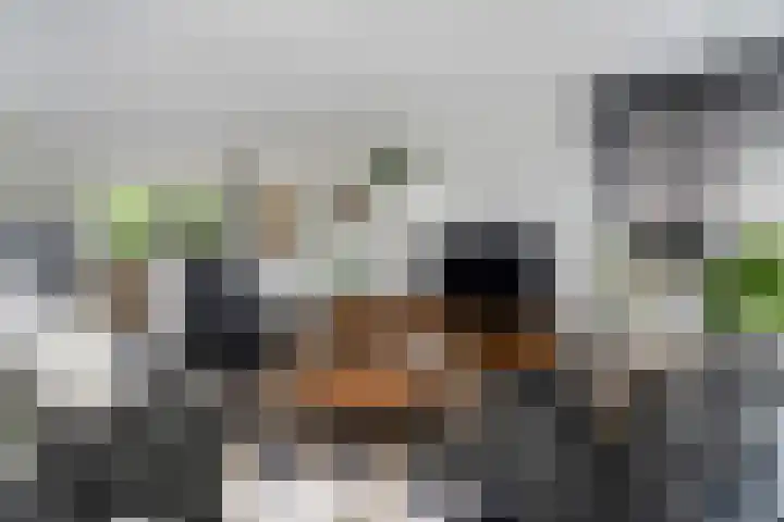 het Vallaat 28 Sneek thumbnail 13