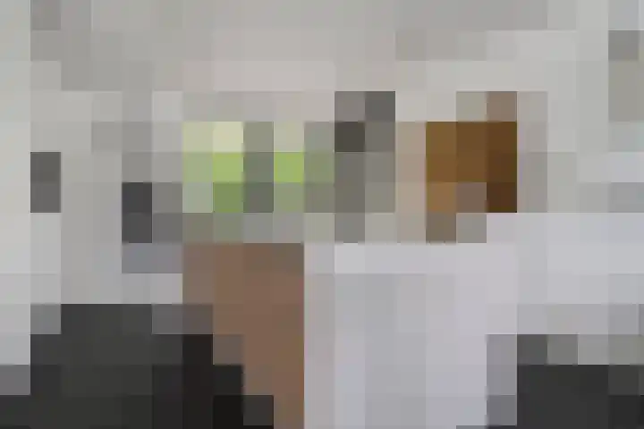het Vallaat 28 Sneek thumbnail 14