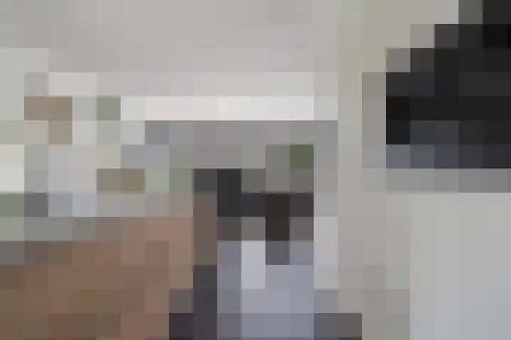 het Vallaat 28 Sneek thumbnail 15