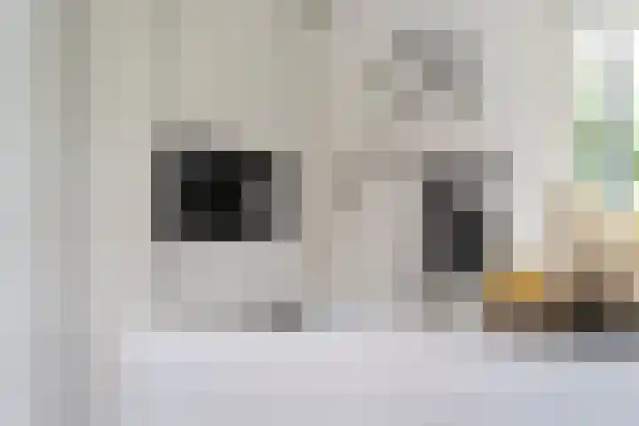 het Vallaat 28 Sneek thumbnail 17