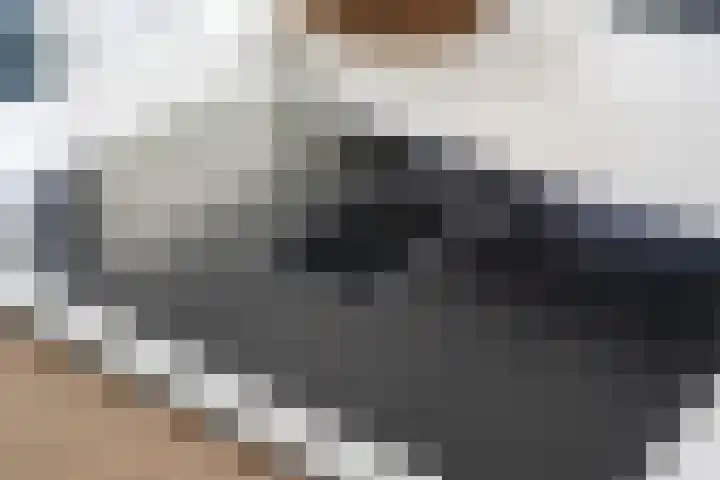 het Vallaat 28 Sneek thumbnail 18