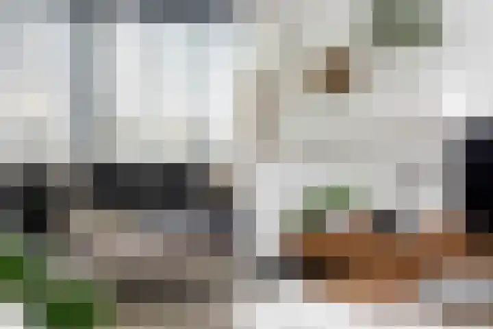 het Vallaat 28 Sneek thumbnail 20