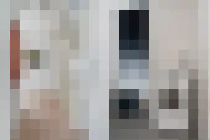 het Vallaat 28 Sneek thumbnail 25