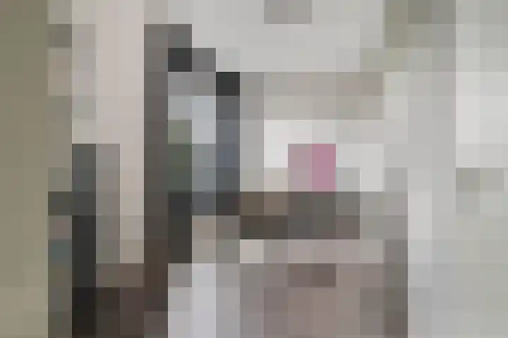 het Vallaat 28 Sneek thumbnail 31