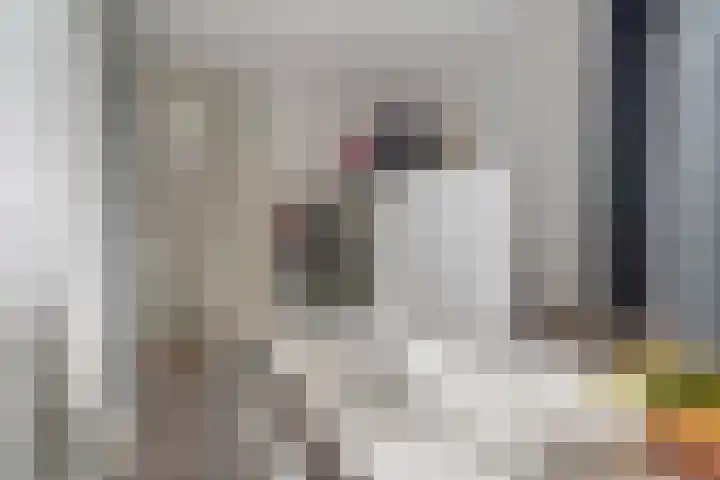 het Vallaat 28 Sneek thumbnail 32