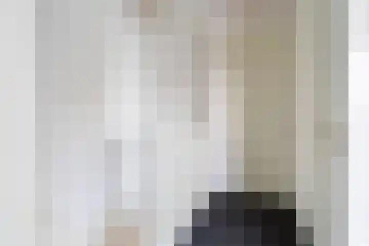 het Vallaat 28 Sneek thumbnail 33